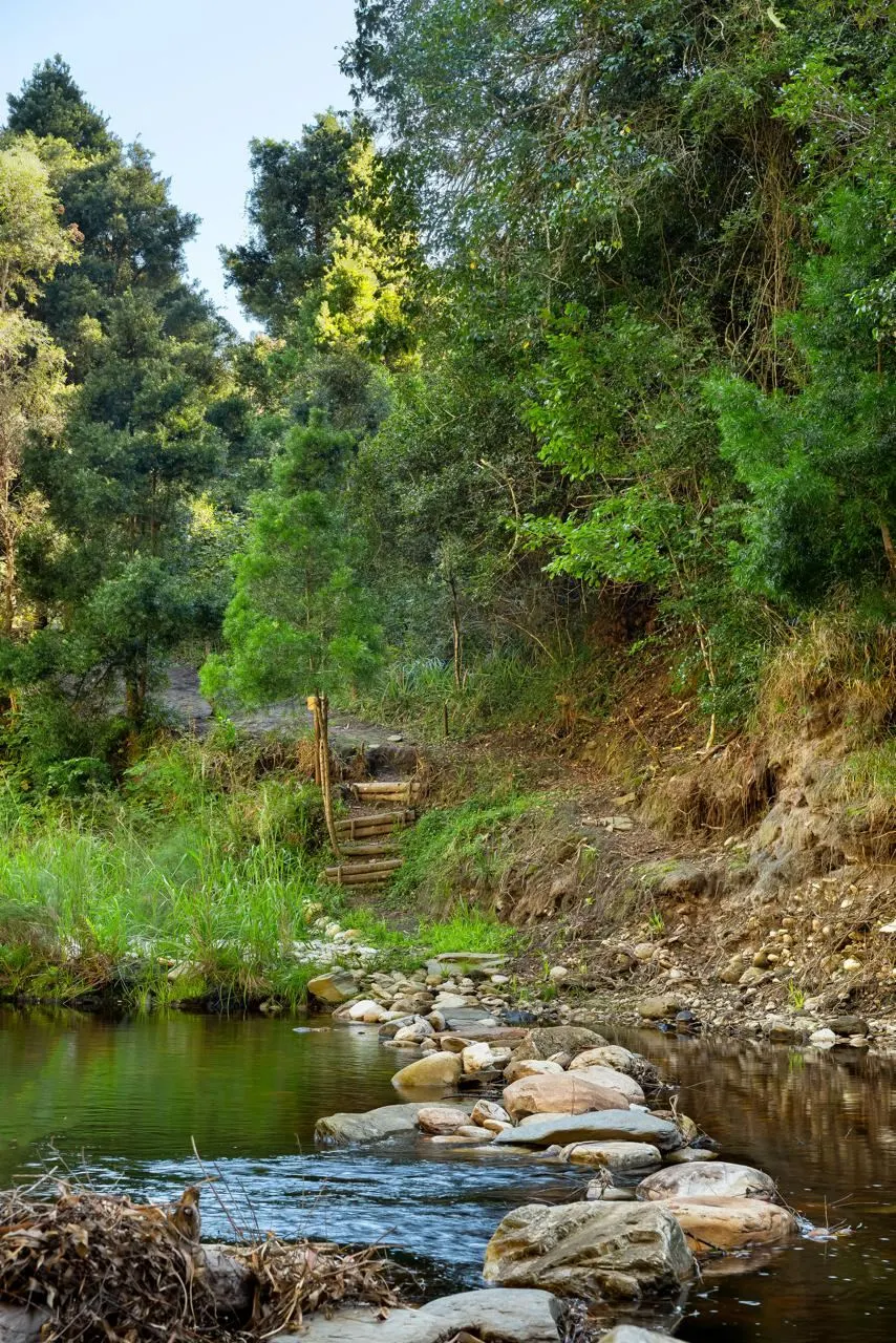 River Walk